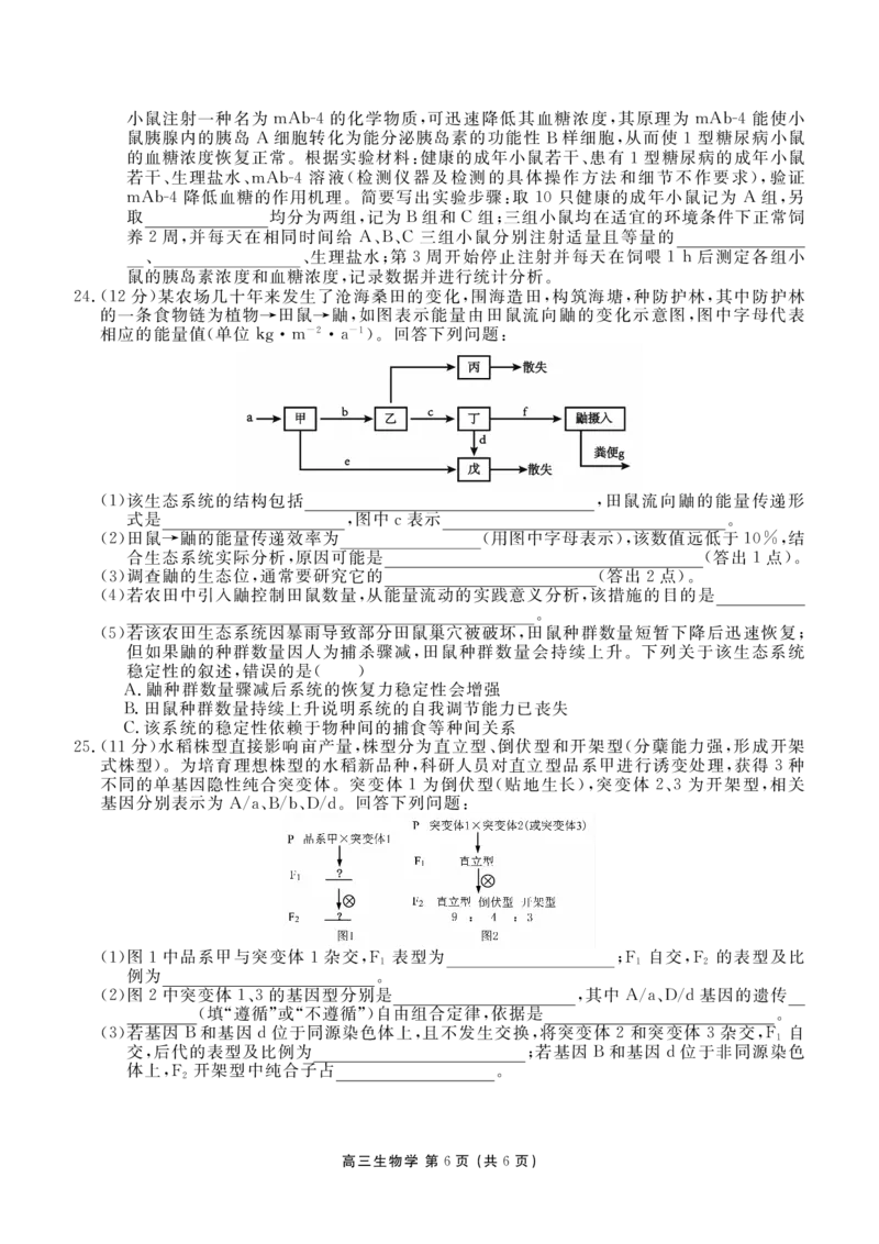 辽宁省点石联考2026届高三期末质量监测生物_全国高考模拟卷_2026年2月_260201辽宁省点石联考2026届高三期末质量监测（全科）