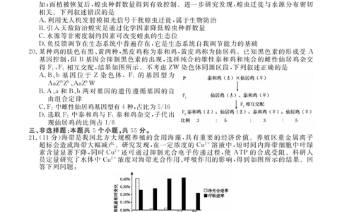 辽宁省点石联考2026届高三期末质量监测生物_全国高考模拟卷_2026年2月_260201辽宁省点石联考2026届高三期末质量监测（全科）