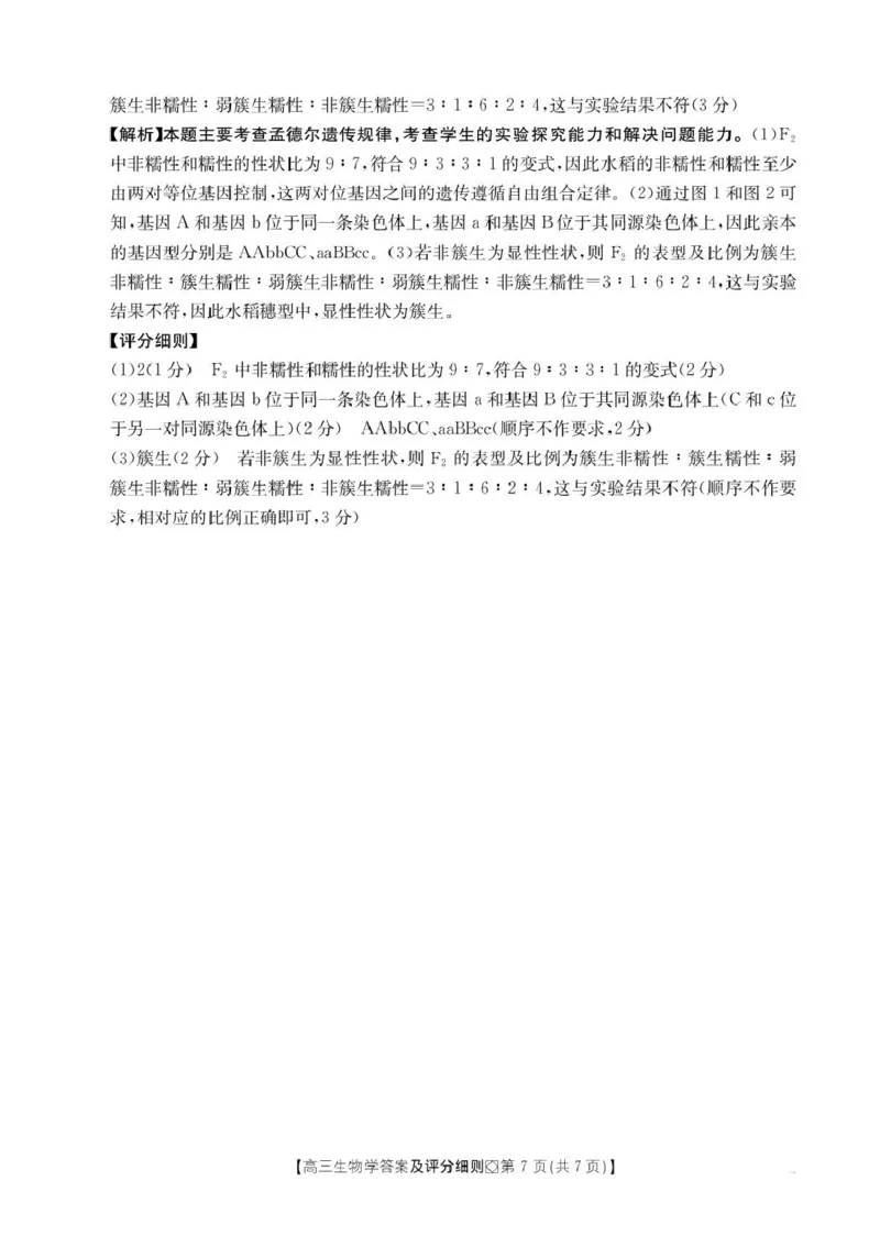 评分细则高三生物学_全国高考模拟卷_2026年2月_260204金太阳&middot;河北省邢台市2026届高三（上）学业水平调研（全科）_河北省邢台市2025-2026学年高三上学期学业水平调研考试生物