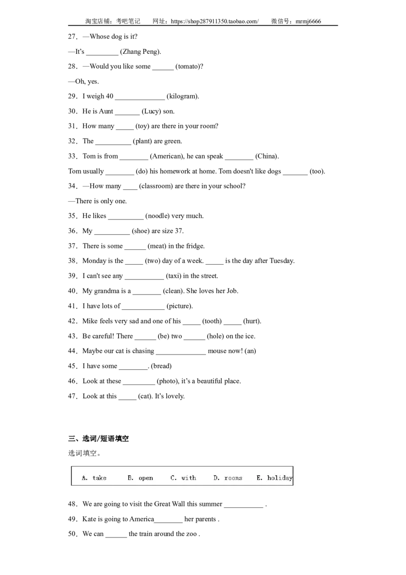 2023年小升初英语语法专题突破-名词、冠词北京版_北京小升初全套文件_英语_2022-2023学年小升初英语语法专题突破（北京版）2987575(13)份