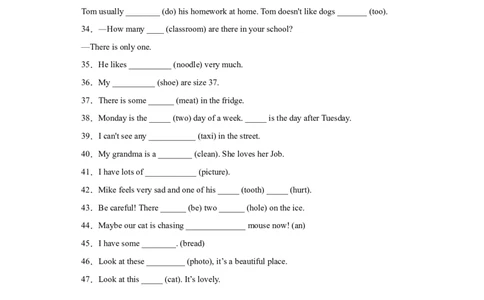 2023年小升初英语语法专题突破-名词、冠词北京版_北京小升初全套文件_英语_2022-2023学年小升初英语语法专题突破（北京版）2987575(13)份