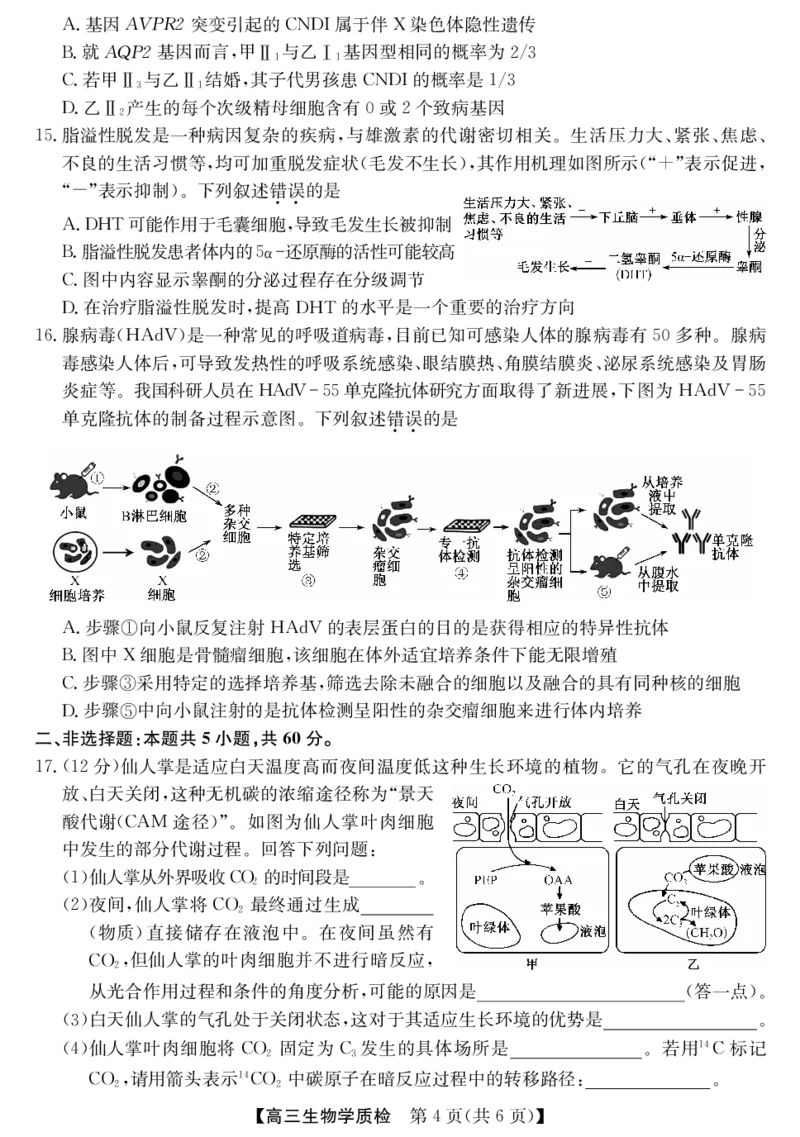 梅州市2026届高三上学期期末考试生物_全国高考模拟卷_2026年2月_260201广东省梅州市2026届高三上学期期末考试（全科）