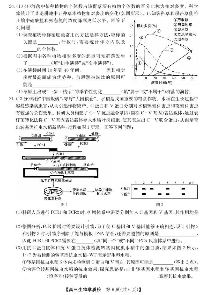 梅州市2026届高三上学期期末考试生物_全国高考模拟卷_2026年2月_260201广东省梅州市2026届高三上学期期末考试（全科）