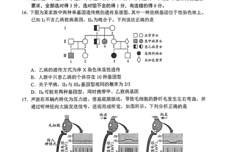 生物试题卷_全国高考模拟卷_2026年2月_260206山东省日照市2023级(2026届)高三年级上学期期末考试（全科）