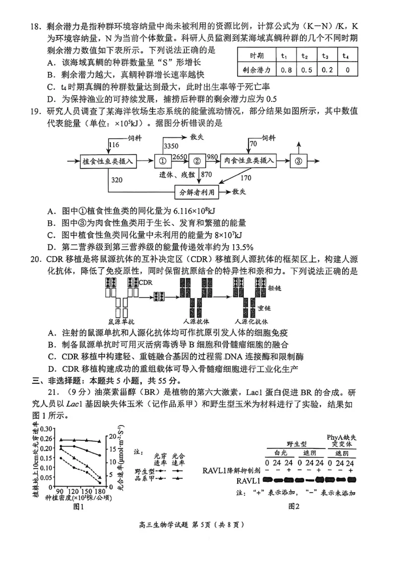 生物试题卷_全国高考模拟卷_2026年2月_260206山东省日照市2023级(2026届)高三年级上学期期末考试（全科）