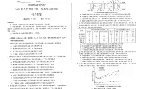 2026届合肥市高三第一次教学质量检测生物试题_全国高考模拟卷_2026年2月_260210安徽省合肥市2026届高三上学期第一次教学质量检测（一模）（全科）