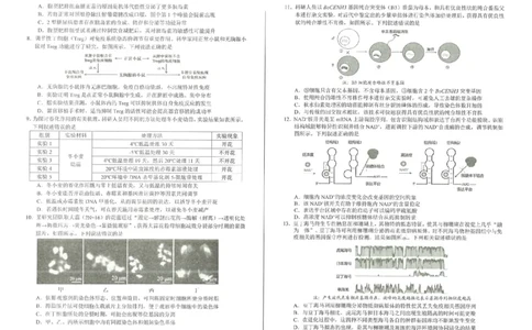2026届合肥市高三第一次教学质量检测生物试题_全国高考模拟卷_2026年2月_260210安徽省合肥市2026届高三上学期第一次教学质量检测（一模）（全科）