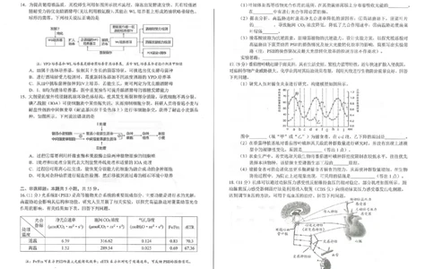 2026届合肥市高三第一次教学质量检测生物试题_全国高考模拟卷_2026年2月_260210安徽省合肥市2026届高三上学期第一次教学质量检测（一模）（全科）