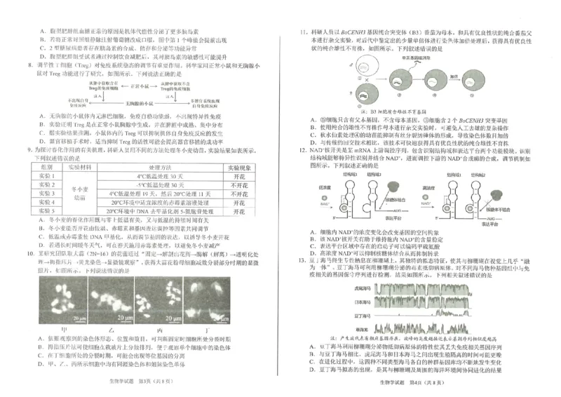 2026届合肥市高三第一次教学质量检测生物试题_全国高考模拟卷_2026年2月_260210安徽省合肥市2026届高三上学期第一次教学质量检测（一模）（全科）