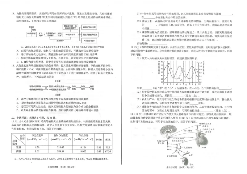 2026届合肥市高三第一次教学质量检测生物试题_全国高考模拟卷_2026年2月_260210安徽省合肥市2026届高三上学期第一次教学质量检测（一模）（全科）