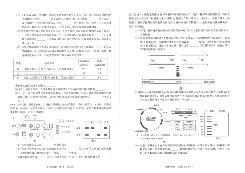 2026届合肥市高三第一次教学质量检测生物试题_全国高考模拟卷_2026年2月_260210安徽省合肥市2026届高三上学期第一次教学质量检测（一模）（全科）