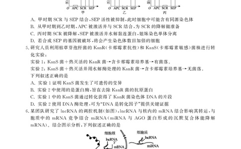 安徽省鼎尖联考2025-2026学年高三上学期期末过程性学科素质评价生物_全国高考模拟卷_2026年2月_260209安徽省鼎尖联考2025-2026学年高三上学期期末过程性学科素质评价（全科）