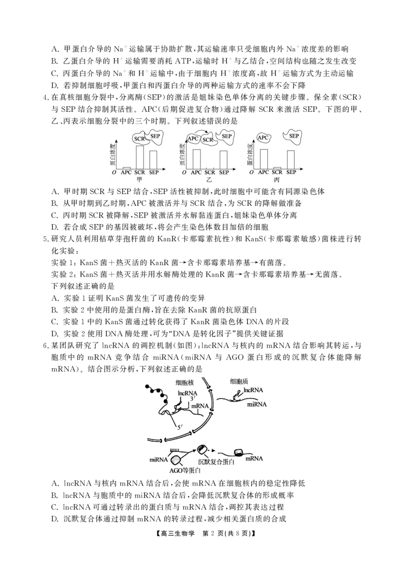 安徽省鼎尖联考2025-2026学年高三上学期期末过程性学科素质评价生物_全国高考模拟卷_2026年2月_260209安徽省鼎尖联考2025-2026学年高三上学期期末过程性学科素质评价（全科）