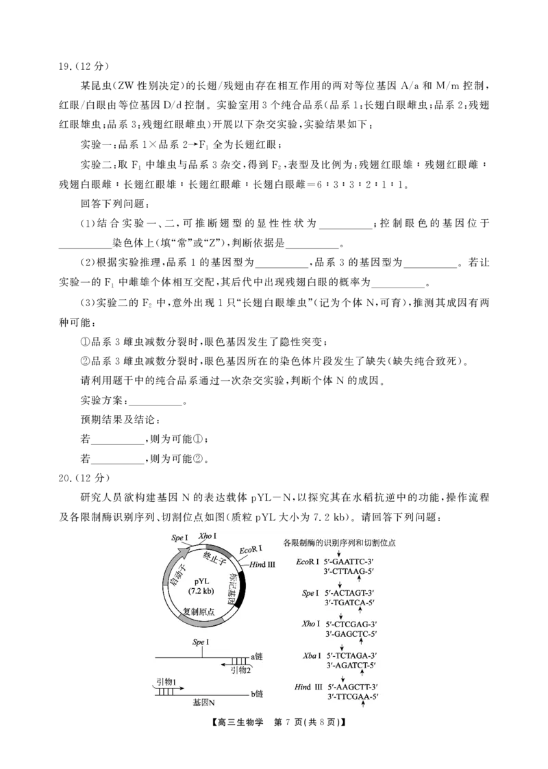 安徽省鼎尖联考2025-2026学年高三上学期期末过程性学科素质评价生物_全国高考模拟卷_2026年2月_260209安徽省鼎尖联考2025-2026学年高三上学期期末过程性学科素质评价（全科）