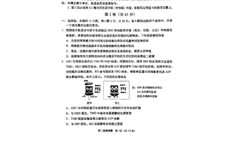 生物试题_全国高考模拟卷_2026年2月_260205山东省青岛市2026届高三第一学期期末学业水平检测（全科）_山东省青岛市2026届高三第一学期期末学业水平检测生物