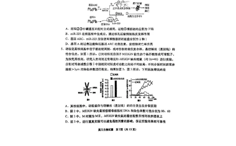 生物试题_全国高考模拟卷_2026年2月_260205山东省青岛市2026届高三第一学期期末学业水平检测（全科）_山东省青岛市2026届高三第一学期期末学业水平检测生物