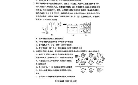 生物试题_全国高考模拟卷_2026年2月_260205山东省青岛市2026届高三第一学期期末学业水平检测（全科）_山东省青岛市2026届高三第一学期期末学业水平检测生物