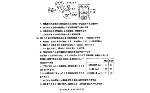 生物试题_全国高考模拟卷_2026年2月_260205山东省青岛市2026届高三第一学期期末学业水平检测（全科）_山东省青岛市2026届高三第一学期期末学业水平检测生物