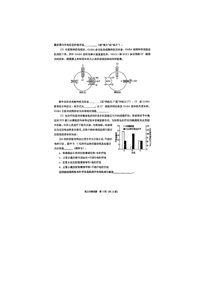 生物试题_全国高考模拟卷_2026年2月_260205山东省青岛市2026届高三第一学期期末学业水平检测（全科）_山东省青岛市2026届高三第一学期期末学业水平检测生物