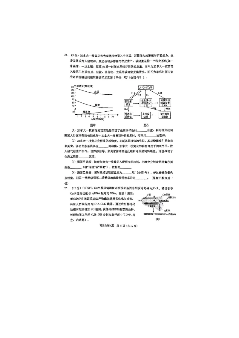 生物试题_全国高考模拟卷_2026年2月_260205山东省青岛市2026届高三第一学期期末学业水平检测（全科）_山东省青岛市2026届高三第一学期期末学业水平检测生物