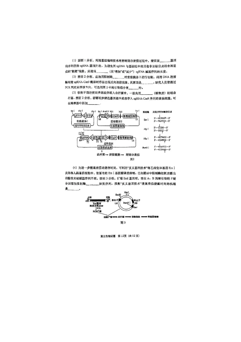 生物试题_全国高考模拟卷_2026年2月_260205山东省青岛市2026届高三第一学期期末学业水平检测（全科）_山东省青岛市2026届高三第一学期期末学业水平检测生物