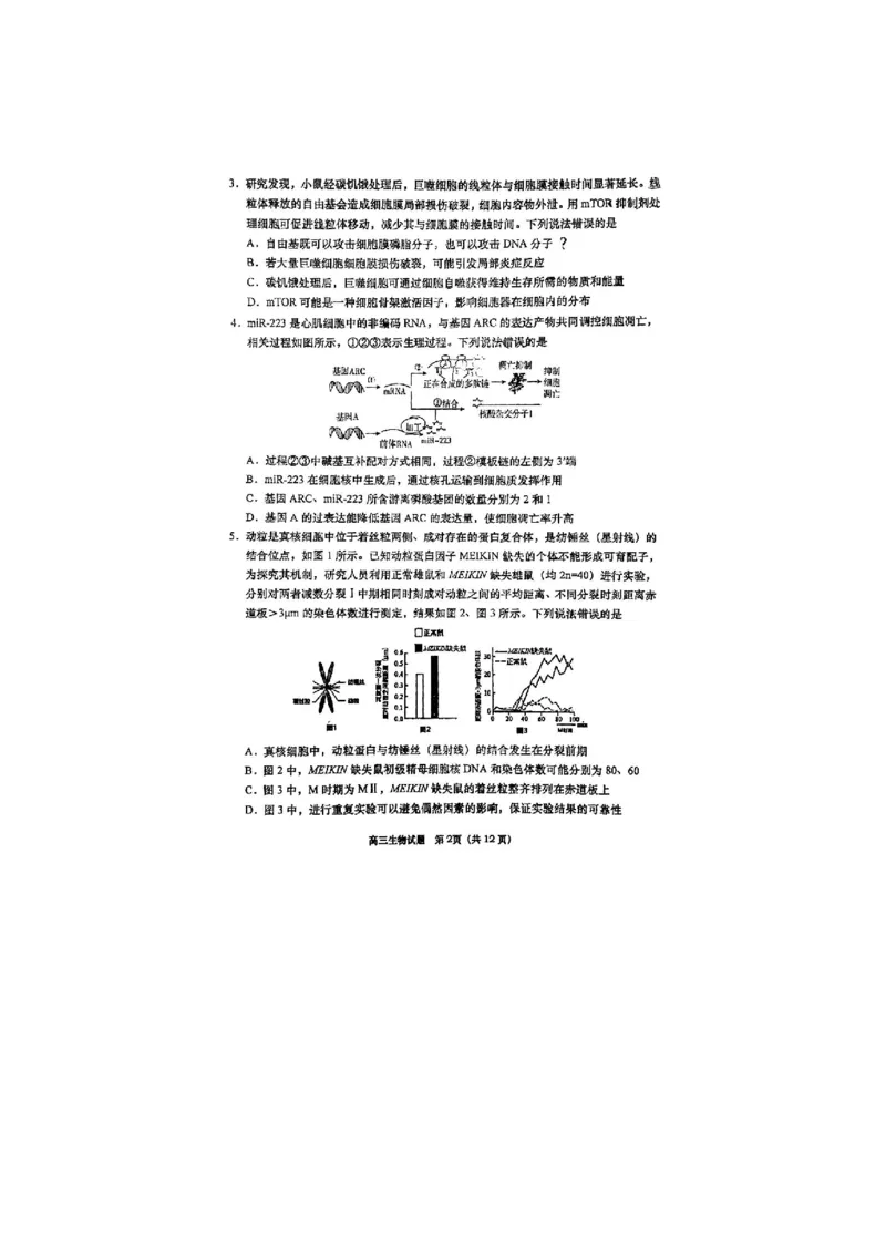 生物试题_全国高考模拟卷_2026年2月_260205山东省青岛市2026届高三第一学期期末学业水平检测（全科）_山东省青岛市2026届高三第一学期期末学业水平检测生物