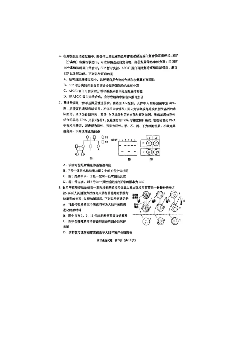 生物试题_全国高考模拟卷_2026年2月_260205山东省青岛市2026届高三第一学期期末学业水平检测（全科）_山东省青岛市2026届高三第一学期期末学业水平检测生物