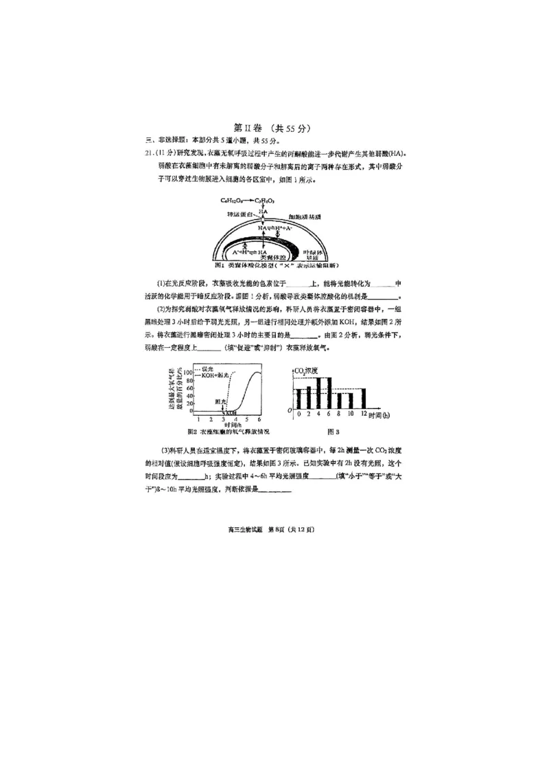 生物试题_全国高考模拟卷_2026年2月_260205山东省青岛市2026届高三第一学期期末学业水平检测（全科）_山东省青岛市2026届高三第一学期期末学业水平检测生物