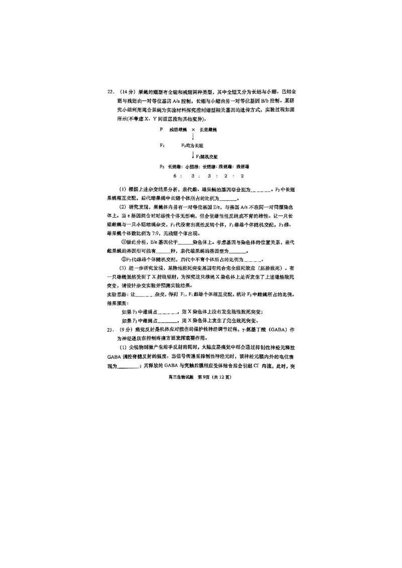 生物试题_全国高考模拟卷_2026年2月_260205山东省青岛市2026届高三第一学期期末学业水平检测（全科）_山东省青岛市2026届高三第一学期期末学业水平检测生物