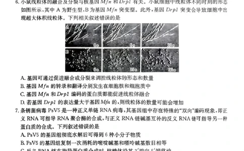 生物楚雄州2025-2026学年上学期高三期末教育学业质量监测试卷答案_全国高考模拟卷_2026年2月_260208云南省楚雄州2025-2026学年上学期高三期末教育学业质量监测