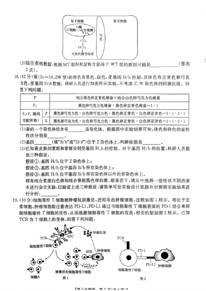 生物楚雄州2025-2026学年上学期高三期末教育学业质量监测试卷答案_全国高考模拟卷_2026年2月_260208云南省楚雄州2025-2026学年上学期高三期末教育学业质量监测
