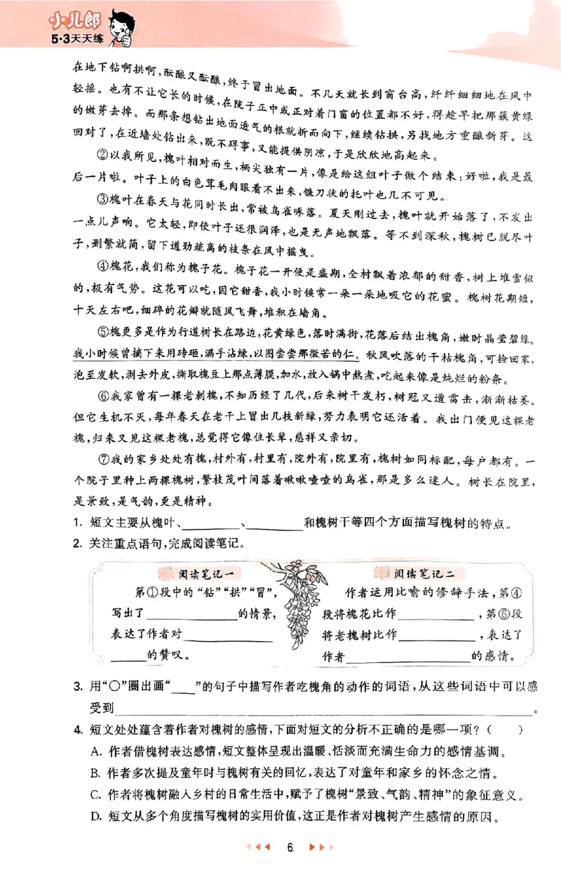 53天天练25秋五上主书_25秋53天天练语数1-6年级上册_53天天练语文25年上册1-6（主书+课堂笔记+测评卷）完整版