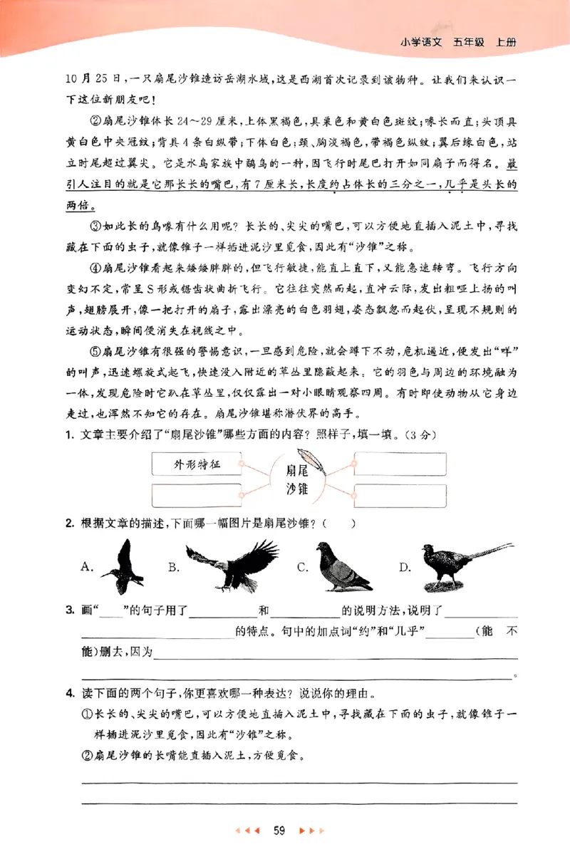 53天天练25秋五上主书_25秋53天天练语数1-6年级上册_53天天练语文25年上册1-6（主书+课堂笔记+测评卷）完整版