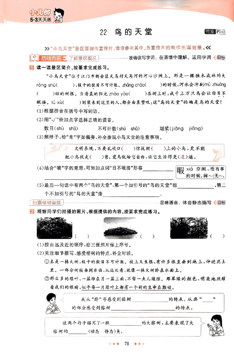 53天天练25秋五上主书_25秋53天天练语数1-6年级上册_53天天练语文25年上册1-6（主书+课堂笔记+测评卷）完整版