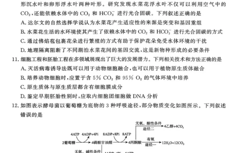 生物试卷-青桐鸣高三联考202602_全国高考模拟卷_2026年2月_260206青桐鸣&middot;普通高中2025-2026学年(上)高三年级期末考试（全科）_生物-青桐鸣&middot;普通高中2025-2026学年(上)高三年级期末考试