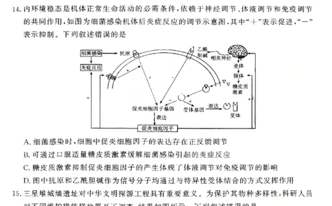 生物试卷-青桐鸣高三联考202602_全国高考模拟卷_2026年2月_260206青桐鸣&middot;普通高中2025-2026学年(上)高三年级期末考试（全科）_生物-青桐鸣&middot;普通高中2025-2026学年(上)高三年级期末考试