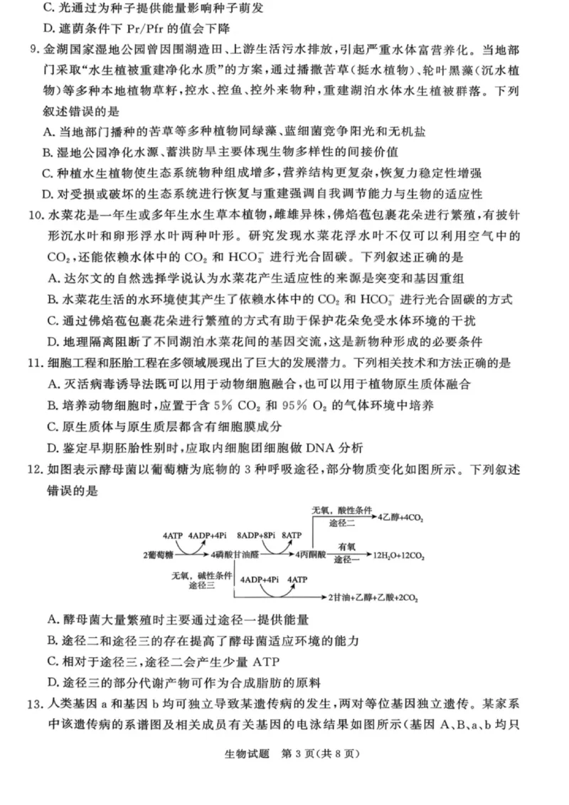 生物试卷-青桐鸣高三联考202602_全国高考模拟卷_2026年2月_260206青桐鸣&middot;普通高中2025-2026学年(上)高三年级期末考试（全科）_生物-青桐鸣&middot;普通高中2025-2026学年(上)高三年级期末考试