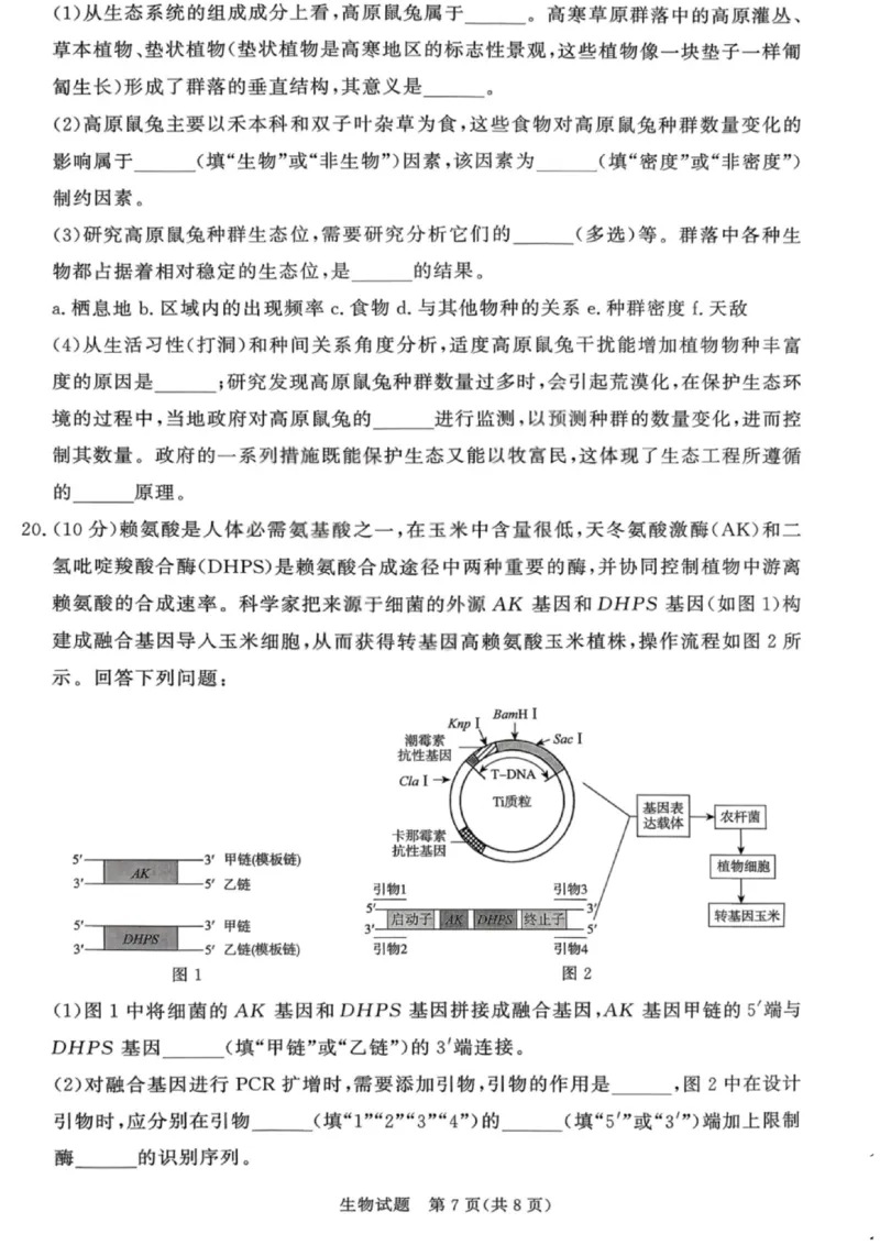 生物试卷-青桐鸣高三联考202602_全国高考模拟卷_2026年2月_260206青桐鸣&middot;普通高中2025-2026学年(上)高三年级期末考试（全科）_生物-青桐鸣&middot;普通高中2025-2026学年(上)高三年级期末考试