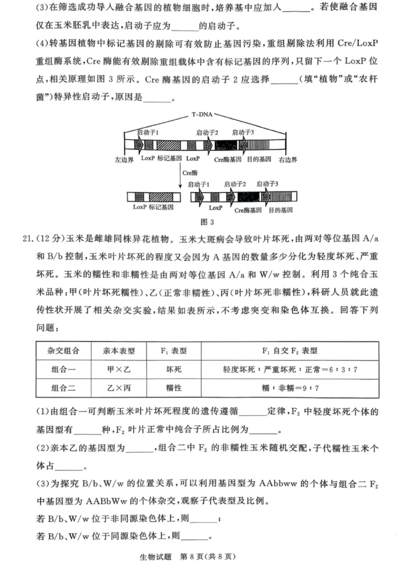 生物试卷-青桐鸣高三联考202602_全国高考模拟卷_2026年2月_260206青桐鸣&middot;普通高中2025-2026学年(上)高三年级期末考试（全科）_生物-青桐鸣&middot;普通高中2025-2026学年(上)高三年级期末考试