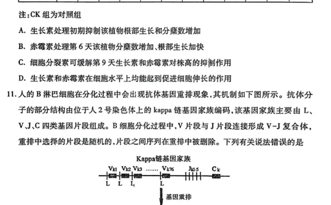 生物试题卷_全国高考模拟卷_2026年2月_260210山西省临汾市高三年级2025-2026学年度第一学期期末考试（全科）
