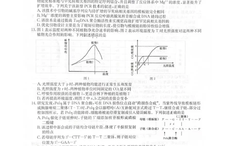 2025-2026学年上学期高三期末考试生物试题_全国高考模拟卷_2026年2月_260206九师联盟2025-2026学年高三核心模拟卷（中）（二）（全科）