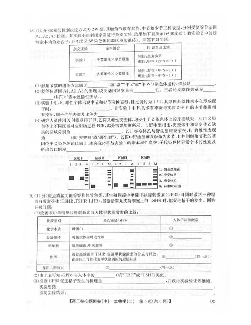 2025-2026学年上学期高三期末考试生物试题_全国高考模拟卷_2026年2月_260206九师联盟2025-2026学年高三核心模拟卷（中）（二）（全科）