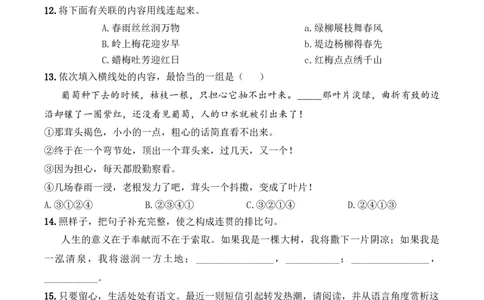 小升初模拟冲刺试卷（六）-2024-2025学年小升初模拟演练冲刺试卷A4版学生版_北京小升初全套文件_语文_2024年语文-秋季七年级入学分班考试模拟卷（全国通用）12（A3+A4-原卷+解析）