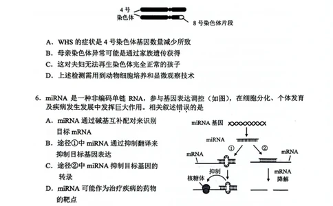 生物试题卷_全国高考模拟卷_2026年2月_260201北京市西城区2025一2026学年度第一学期期末（全科）_北京市西城区2025-2026学年高三（上）期末生物