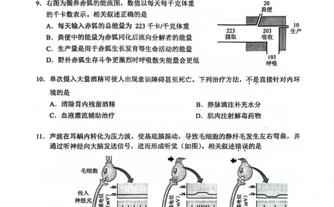 生物试题卷_全国高考模拟卷_2026年2月_260201北京市西城区2025一2026学年度第一学期期末（全科）_北京市西城区2025-2026学年高三（上）期末生物