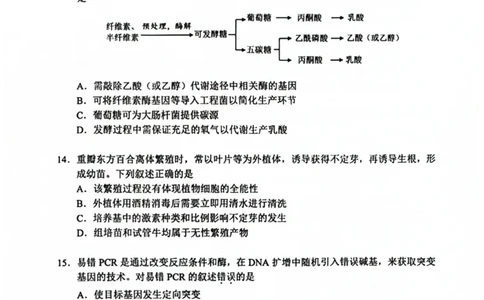 生物试题卷_全国高考模拟卷_2026年2月_260201北京市西城区2025一2026学年度第一学期期末（全科）_北京市西城区2025-2026学年高三（上）期末生物