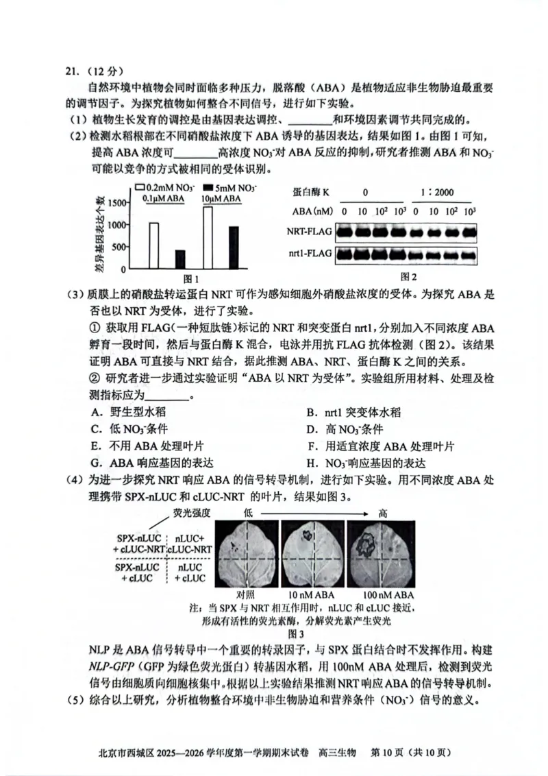 生物试题卷_全国高考模拟卷_2026年2月_260201北京市西城区2025一2026学年度第一学期期末（全科）_北京市西城区2025-2026学年高三（上）期末生物