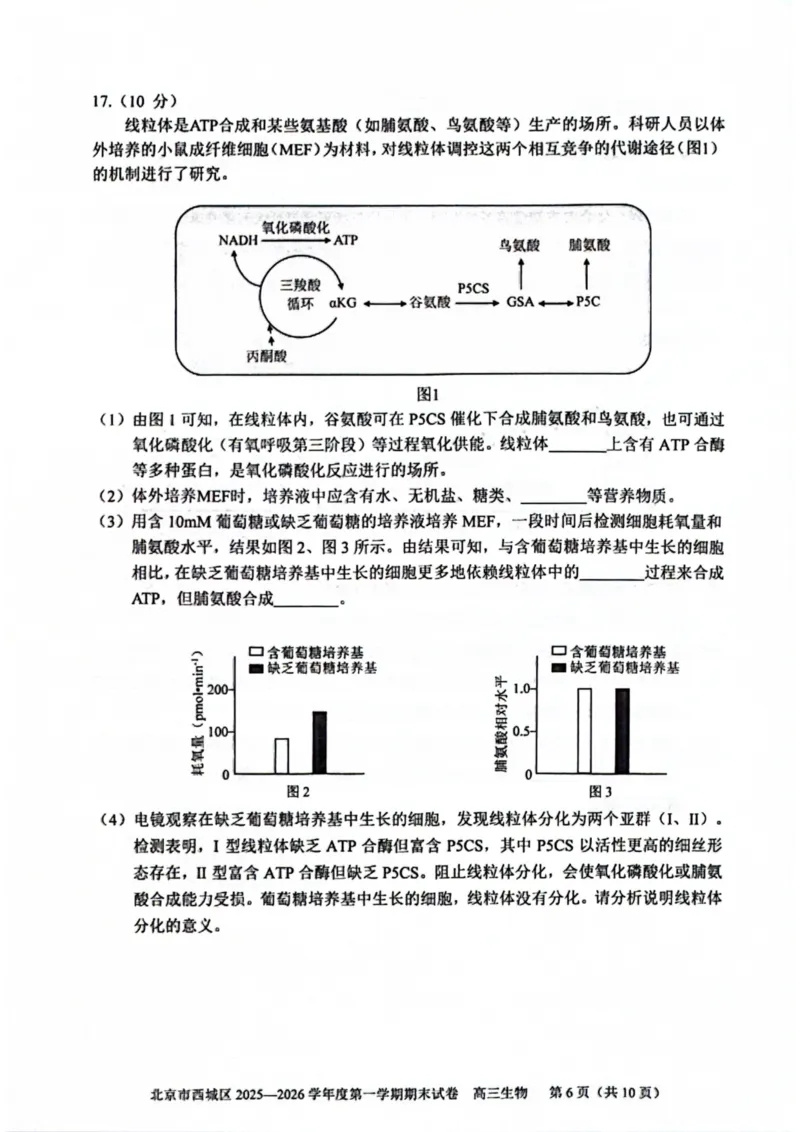 生物试题卷_全国高考模拟卷_2026年2月_260201北京市西城区2025一2026学年度第一学期期末（全科）_北京市西城区2025-2026学年高三（上）期末生物