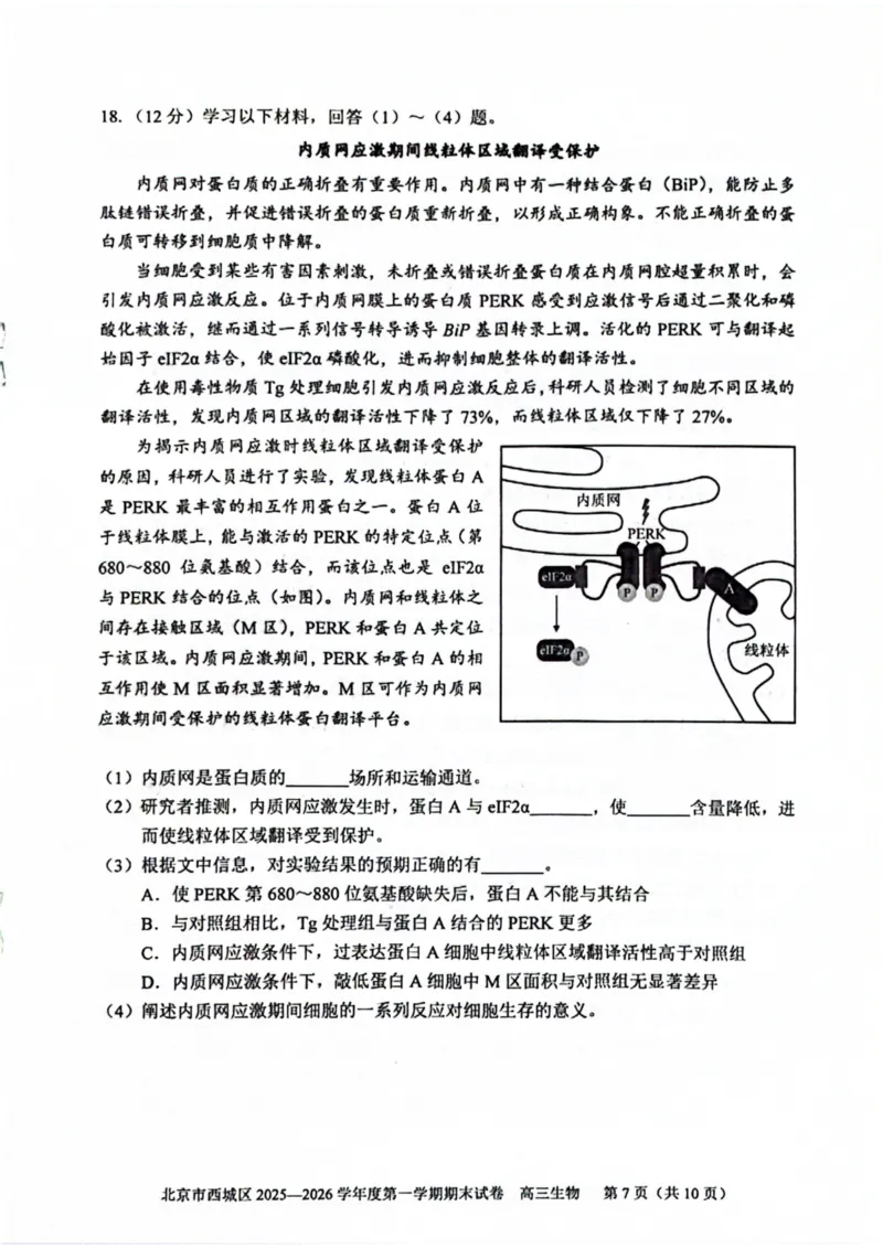 生物试题卷_全国高考模拟卷_2026年2月_260201北京市西城区2025一2026学年度第一学期期末（全科）_北京市西城区2025-2026学年高三（上）期末生物
