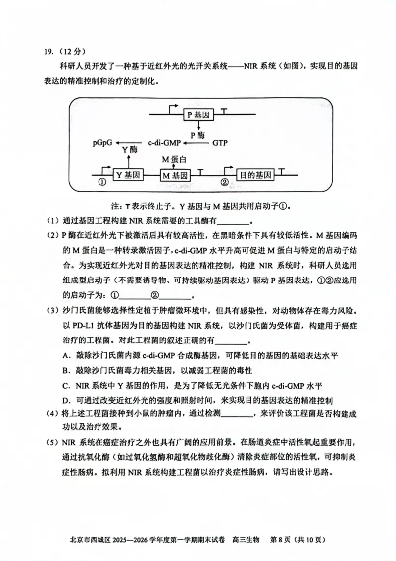 生物试题卷_全国高考模拟卷_2026年2月_260201北京市西城区2025一2026学年度第一学期期末（全科）_北京市西城区2025-2026学年高三（上）期末生物
